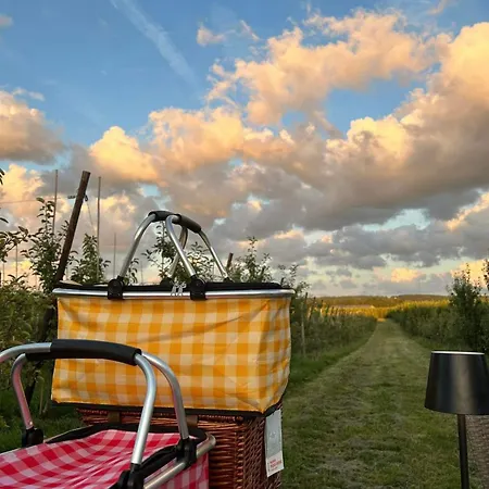 Semesterbostad De Boomgaard